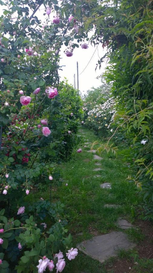 B&B Villa Giardini Susanna Gattico Экстерьер фото