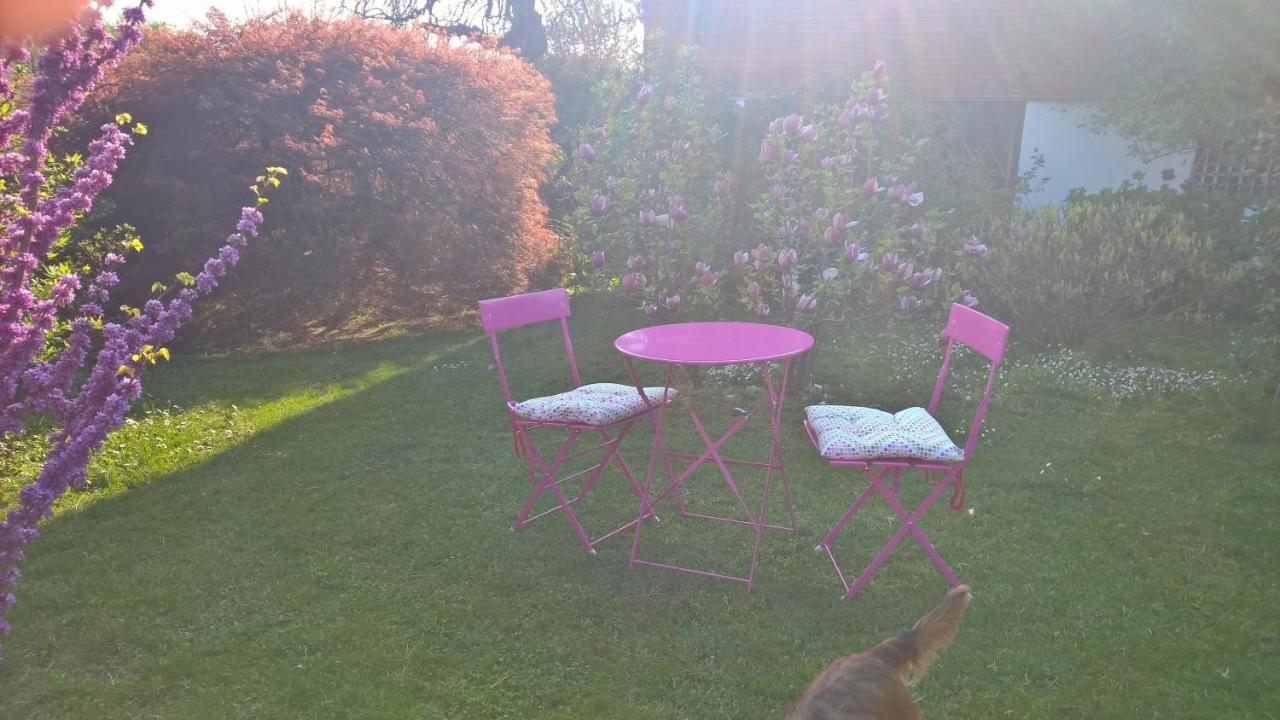 B&B Villa Giardini Susanna Gattico Экстерьер фото