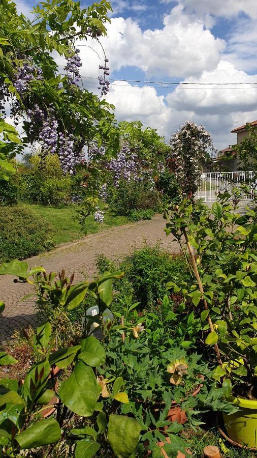 B&B Villa Giardini Susanna Gattico Экстерьер фото