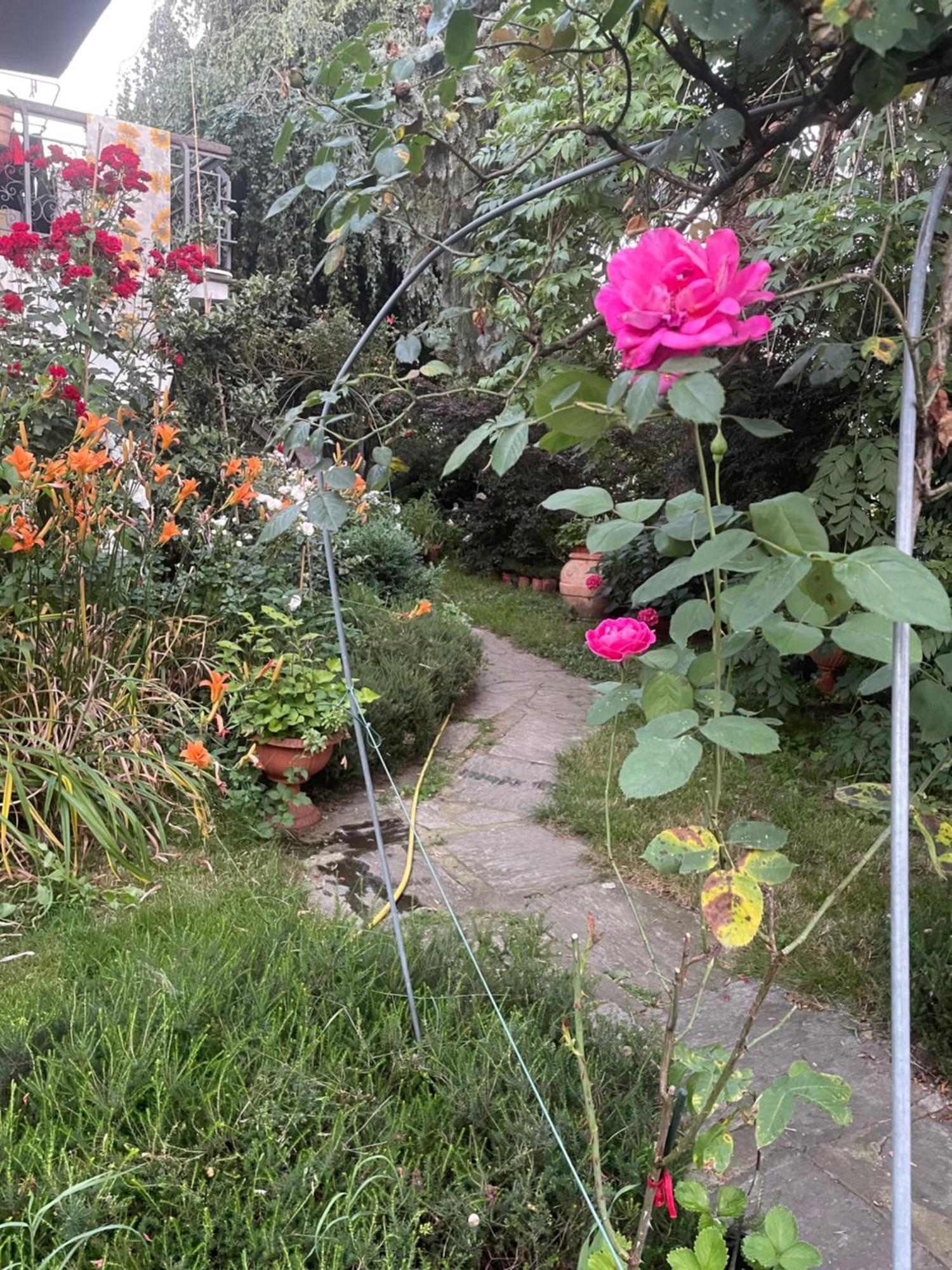B&B Villa Giardini Susanna Gattico Экстерьер фото